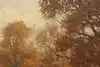 Thumbnail image 8