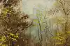 Thumbnail image 9