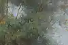 Thumbnail image 9