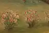 Thumbnail image 10