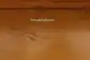 Thumbnail image 16