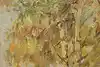 Thumbnail image 9