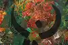 Thumbnail image 8