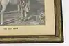 Thumbnail image 6