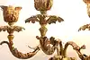 Thumbnail image 12