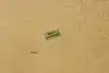 Thumbnail image 16