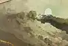 Thumbnail image 10