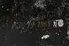 Thumbnail image 10