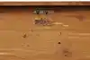 Thumbnail image 15