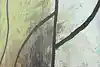 Thumbnail image 10