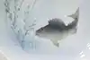 Thumbnail image 2