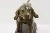 Thumbnail image 11