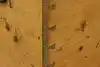 Thumbnail image 16