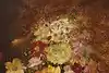 Thumbnail image 6