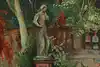 Thumbnail image 8
