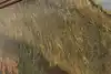 Thumbnail image 10