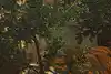 Thumbnail image 8