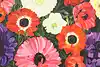Thumbnail image 1