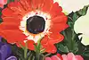 Thumbnail image 5