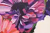 Thumbnail image 6