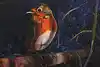 Thumbnail image 1