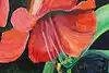 Thumbnail image 9