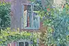 Thumbnail image 8
