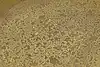 Thumbnail image 9