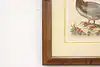 Thumbnail image 4