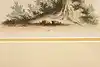 Thumbnail image 7