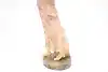 Thumbnail image 8