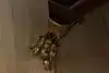 Thumbnail image 10