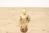 Thumbnail image 2