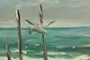 Thumbnail image 8