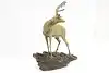 Thumbnail image 1