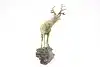Thumbnail image 6