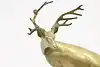 Thumbnail image 7