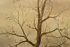 Thumbnail image 8
