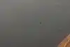 Thumbnail image 11