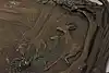 Thumbnail image 6