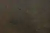 Thumbnail image 16