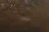 Thumbnail image 19
