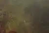 Thumbnail image 21