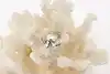 Thumbnail image 1