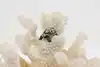 Thumbnail image 1