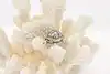 Thumbnail image 1