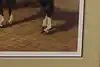 Thumbnail image 8