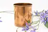 Thumbnail image 1