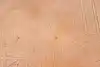 Thumbnail image 6