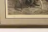 Thumbnail image 9